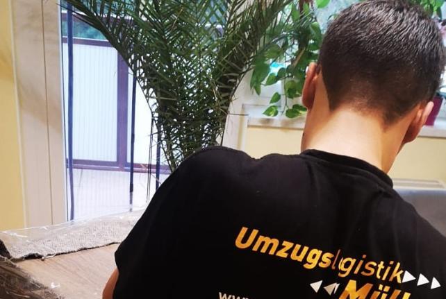 Laborumzug Sankt Egidien stressfrei umziehen 